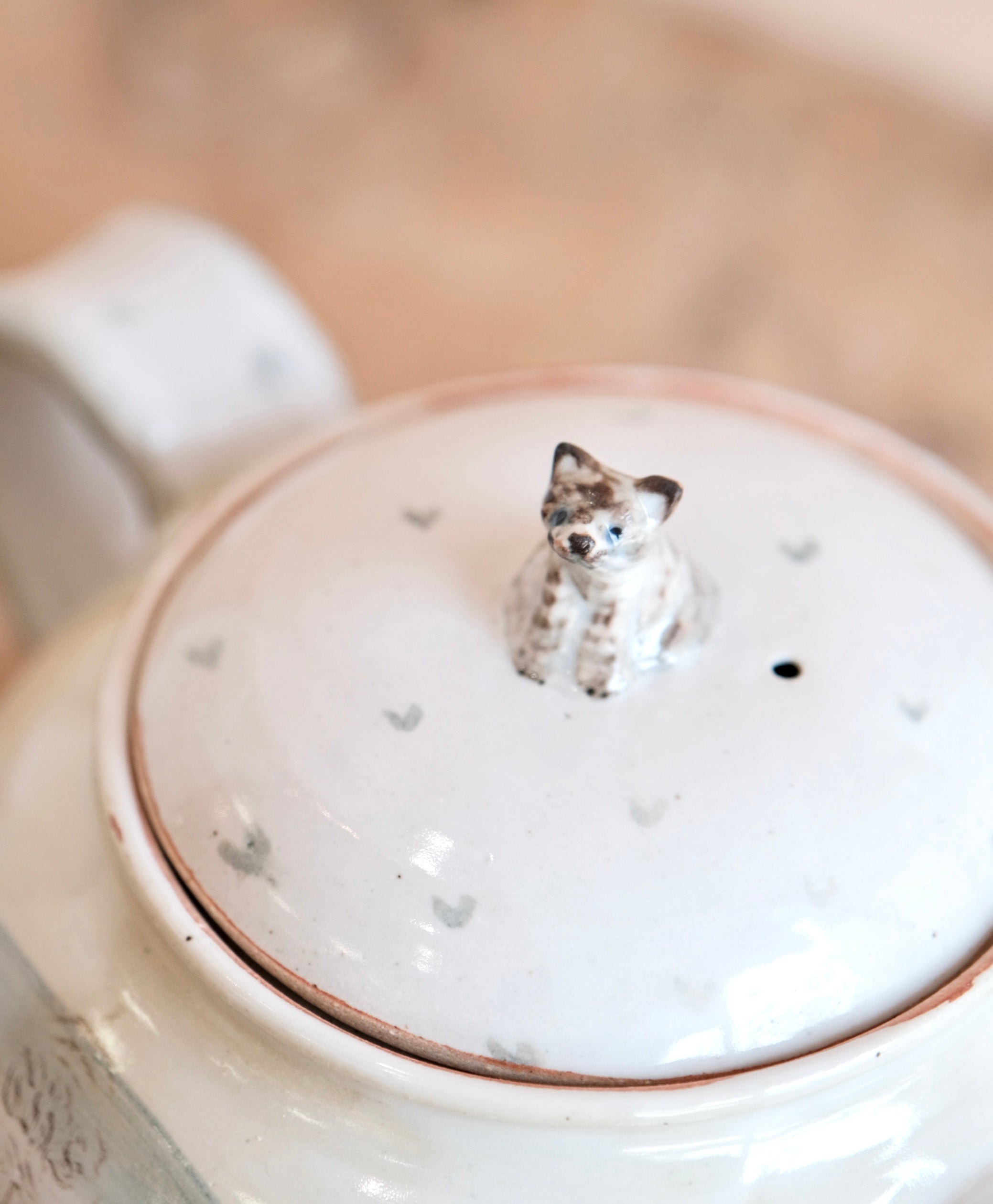Hiruma Ikumi-比留間郁美 Handmade Teapot (#2)