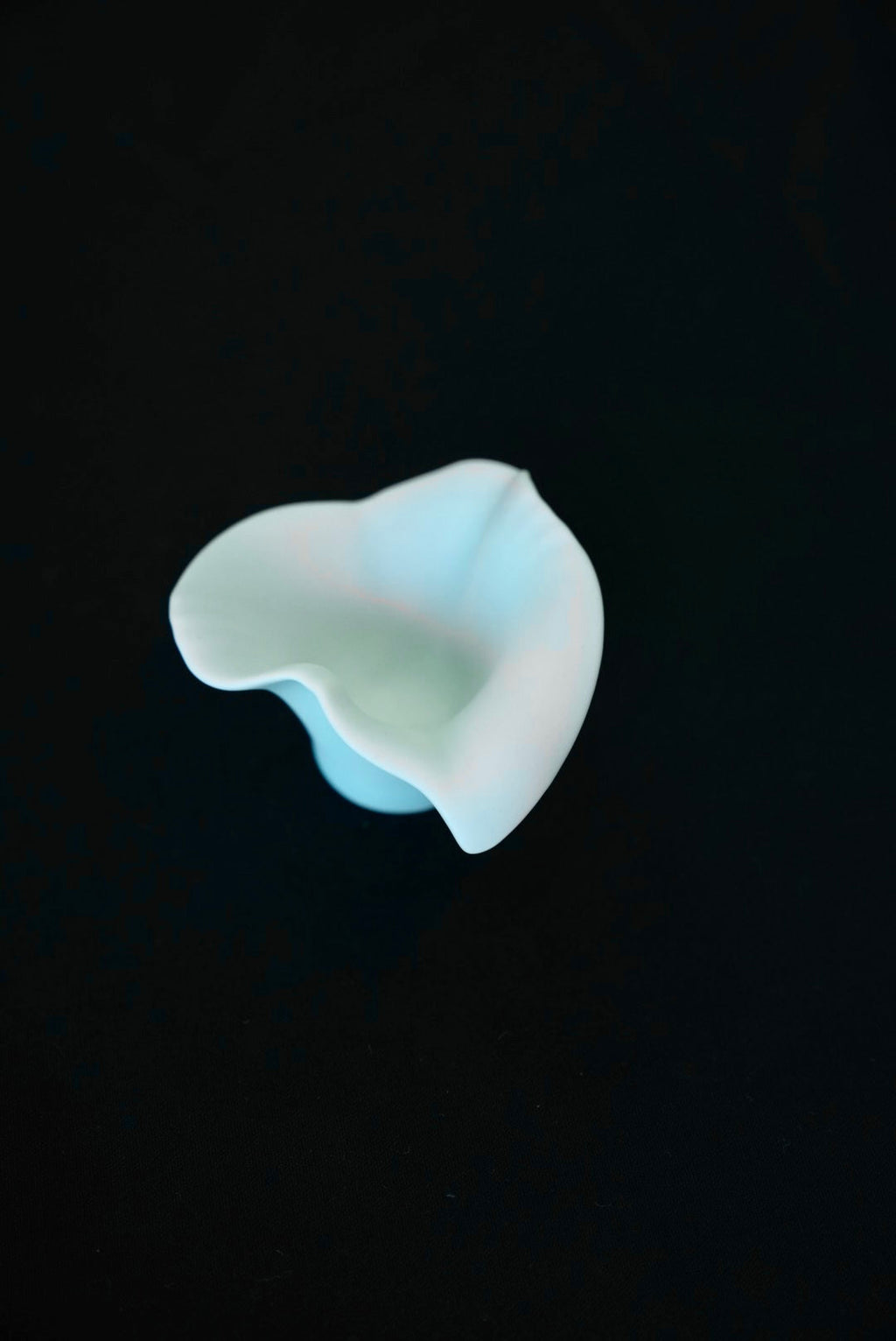 Arita Yaki  Handmade Calla lily shape Series