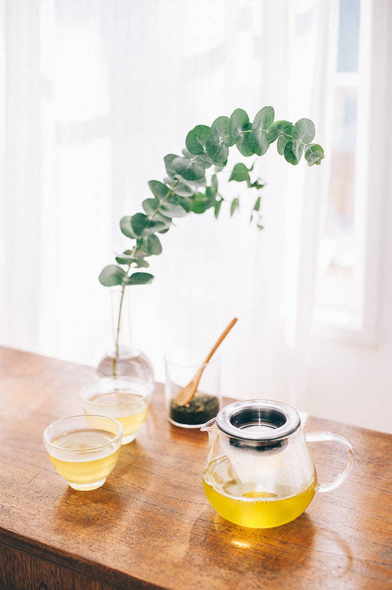 HARIO Tea Dripper LARGO 350mL Server Set